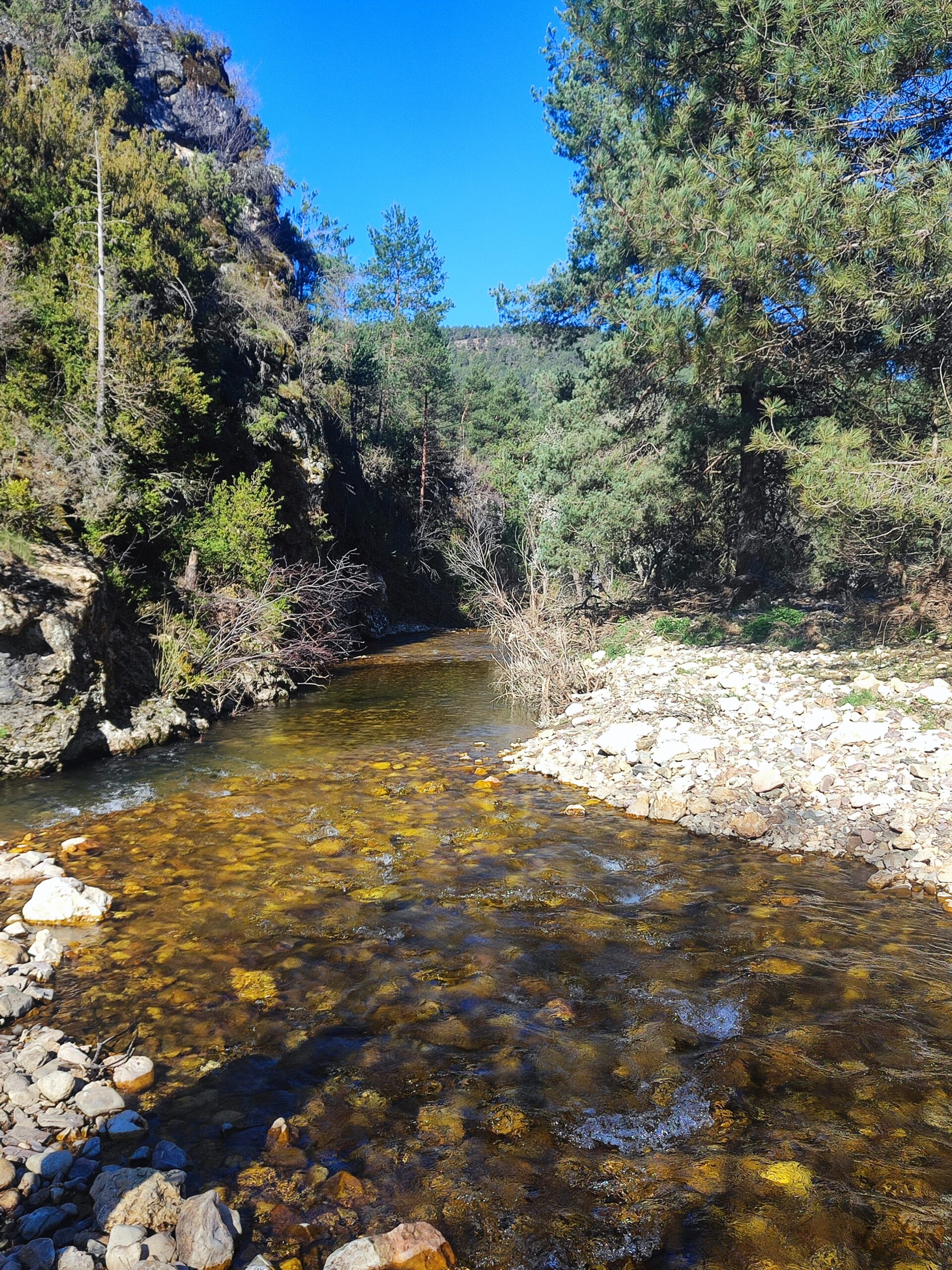 Monitoring river restoration at the Molino del Cabrillas weir removal site