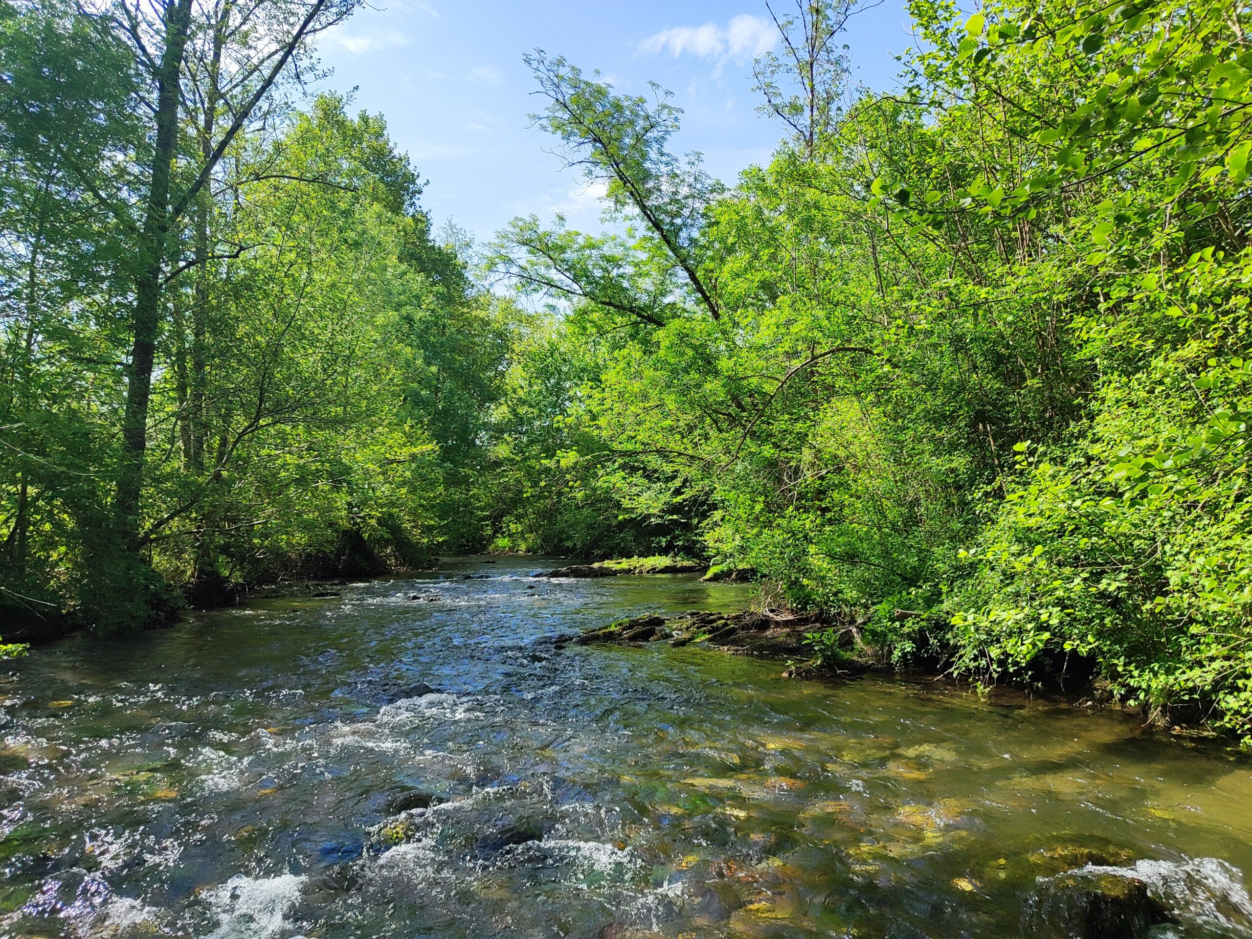 Assessing ecological recovery on the Nivelle after barrier removal