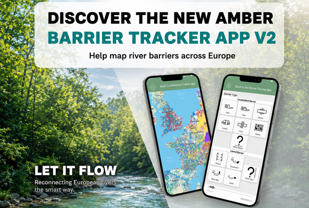 Discover the new AMBER Barrier Tracker app