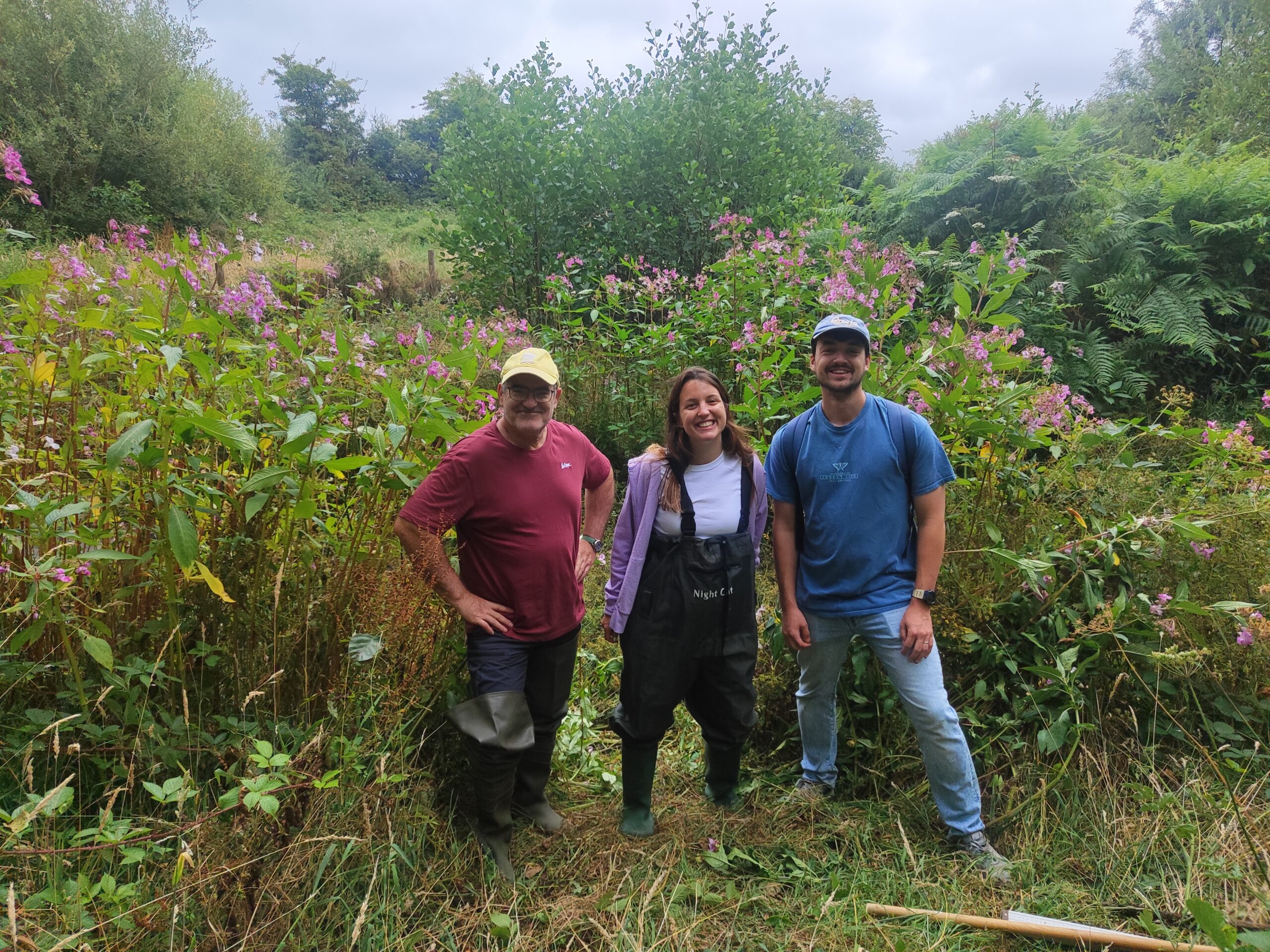 Three years after culvert removal in Wales