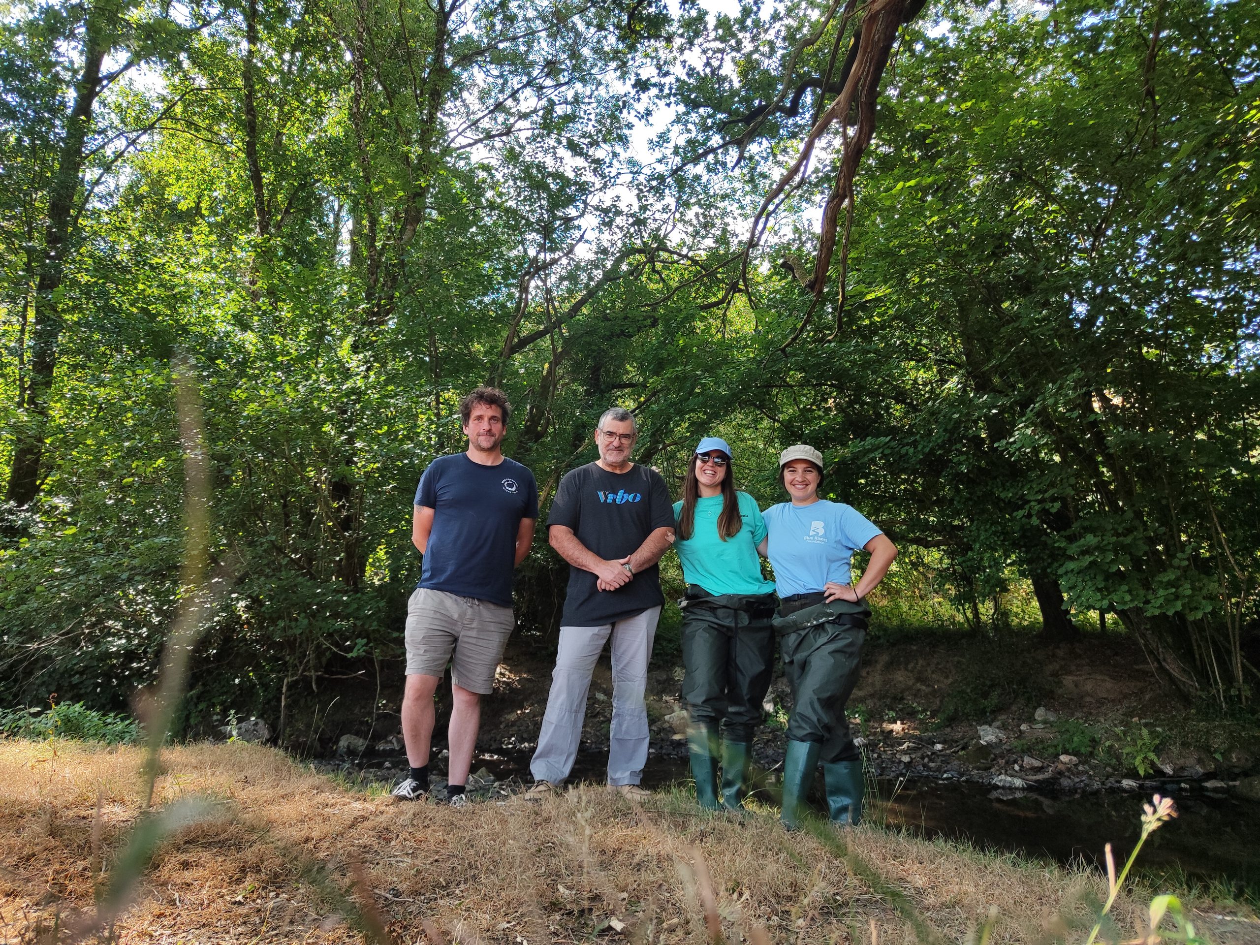 Early signs of river recovery after the removal of Chipley Mill Weir